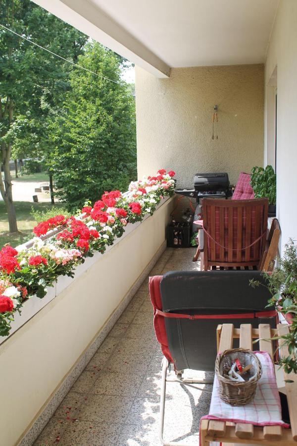 Bed & Breakfast Bonn 24 Mai Bis14 Juni Mit Hund In Der Wohnung المظهر الخارجي الصورة
