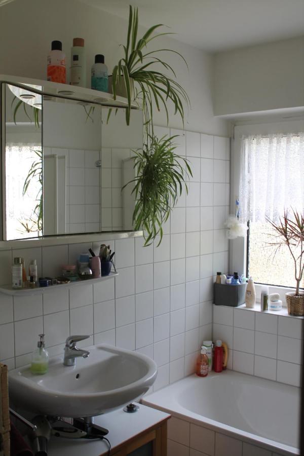 Bed & Breakfast Bonn 24 Mai Bis14 Juni Mit Hund In Der Wohnung المظهر الخارجي الصورة