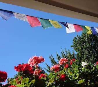 Bed & Breakfast Bonn 24 Mai Bis14 Juni Mit Hund In Der Wohnung المظهر الخارجي الصورة
