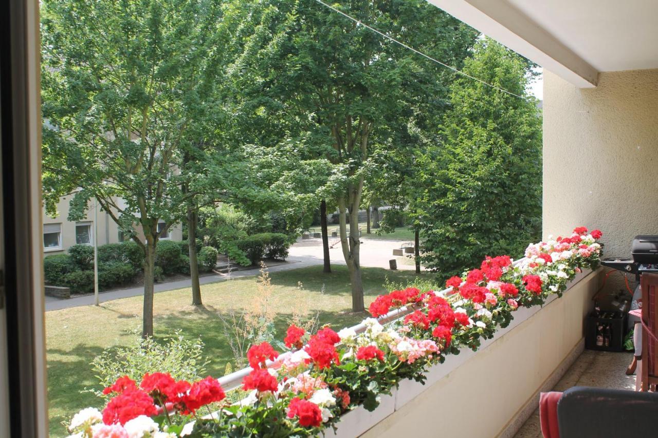 Bed & Breakfast Bonn 24 Mai Bis14 Juni Mit Hund In Der Wohnung المظهر الخارجي الصورة